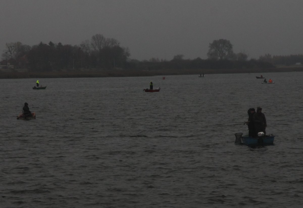 Name:  20131103 C22362 Bohnsack Tote Weichsel.jpg
Hits: 913
Gre:  85.6 KB
