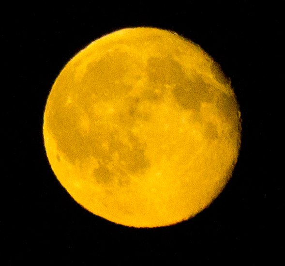 Name:  S15070300056 Prinzlaff Mond.jpg
Hits: 1079
Gre:  34.5 KB