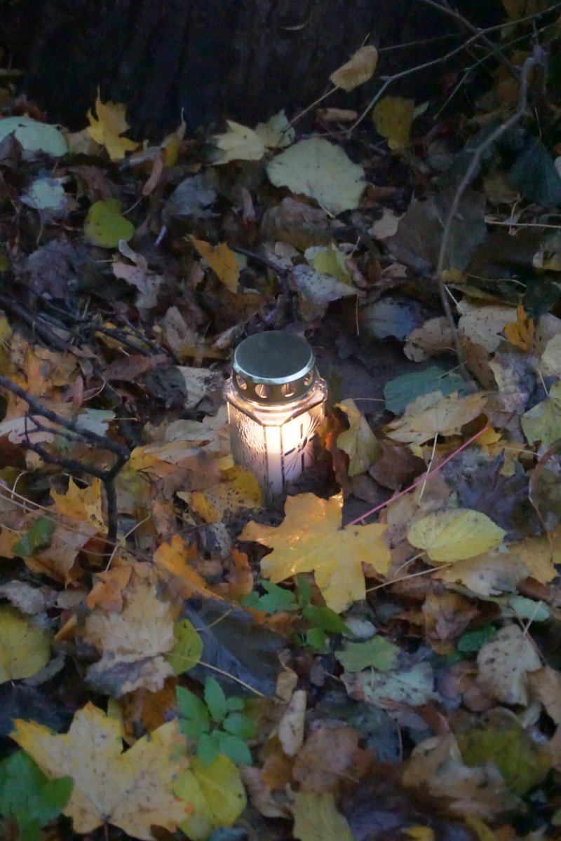 Name:  161101 SA607311 Schoenbaum Friedhof.jpg
Hits: 3585
Gre:  200.5 KB
