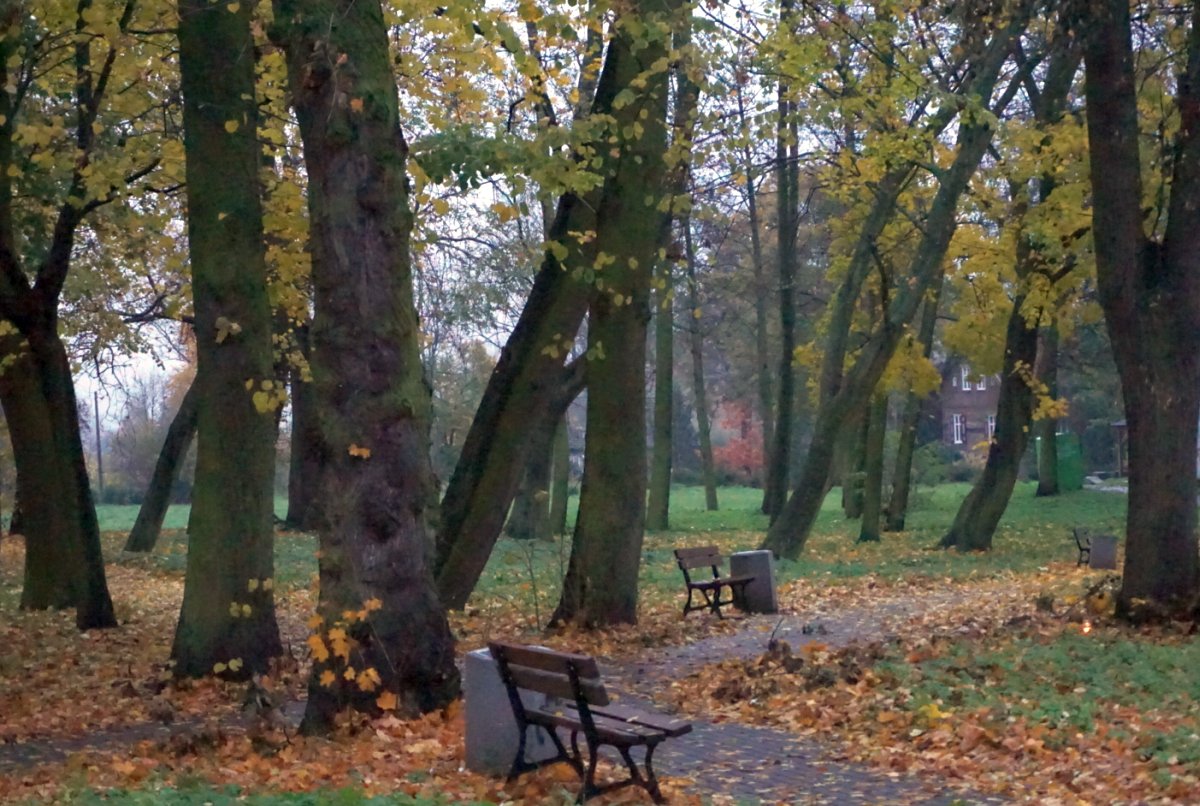 Name:  161101 SA607315 Schoenbaum Friedhof.jpg
Hits: 4313
Gre:  223.7 KB