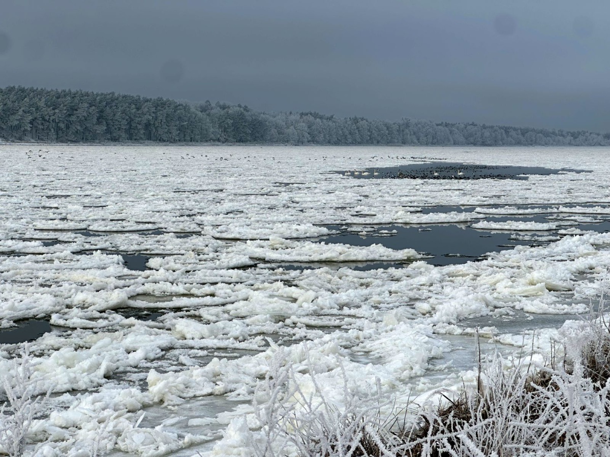 Name:  260108 IMG04893 Nickelswalde - wintrliche Weichsel.jpg
Hits: 54
Gr��e:  471.1 KB