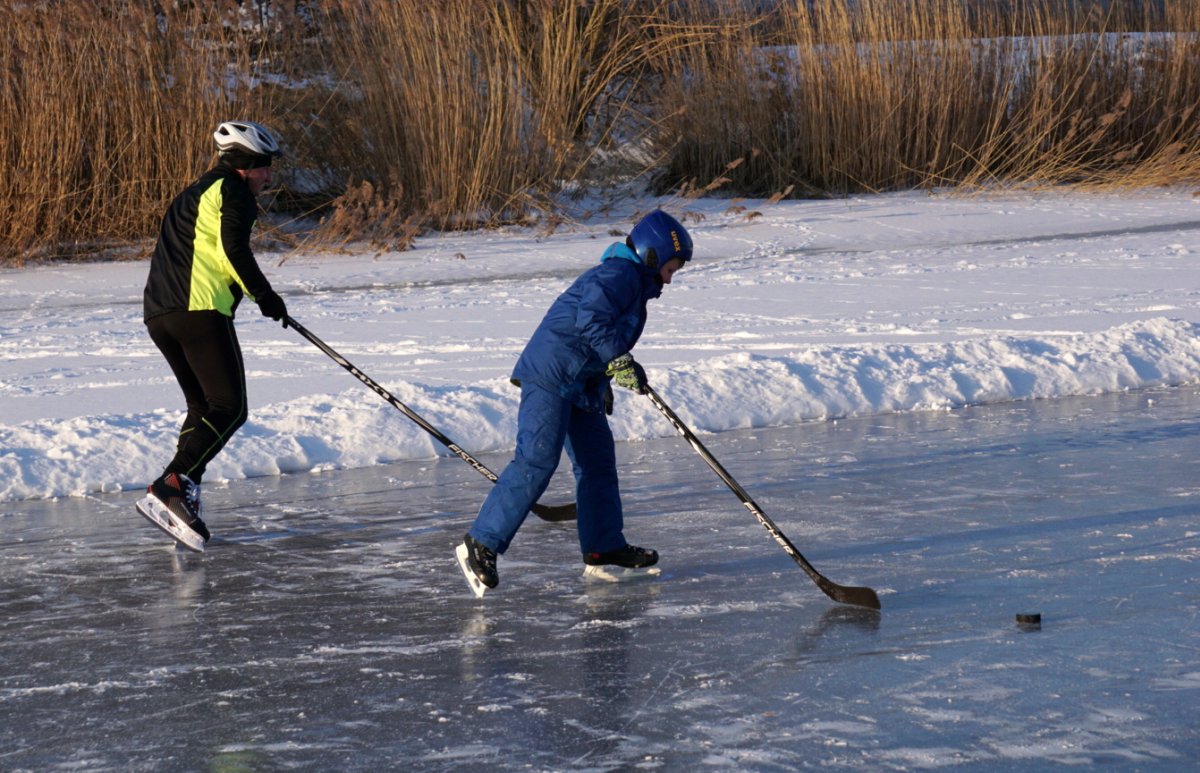 Name:  1702111 SA608474 Eishockey Elbinger Weichsel.jpg
Hits: 1418
Gre:  213.6 KB