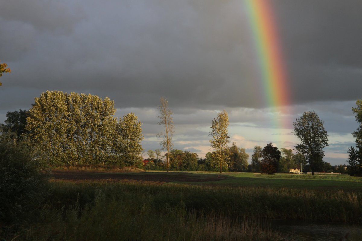 Name:  20130926 C21439 Fuerstenwerder Regenbogen.jpg
Hits: 275
Gre:  146.6 KB